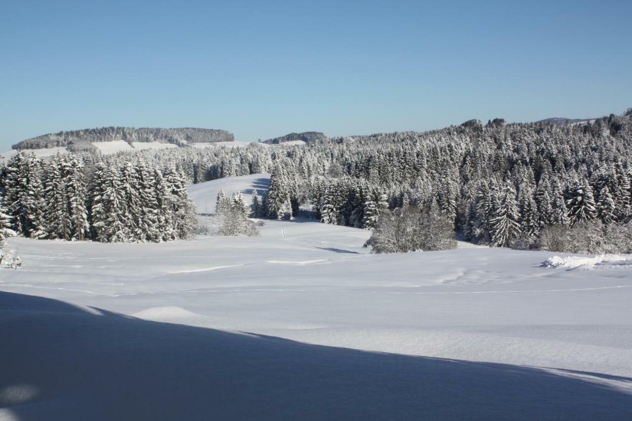Ferienwohnung Nagelfluh Allgaeu Oberreute Esterno foto